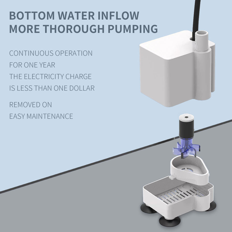 Filtre de distributeur d'eau pour animaux de compagnie en acier inoxydable 3L