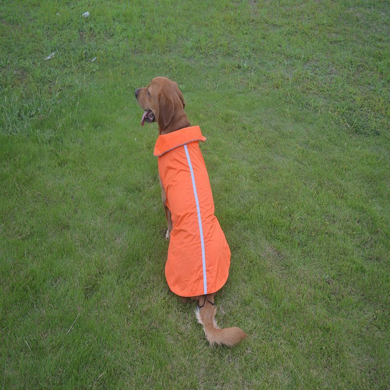 Ropa para perros Chaqueta exterior impermeable impermeable