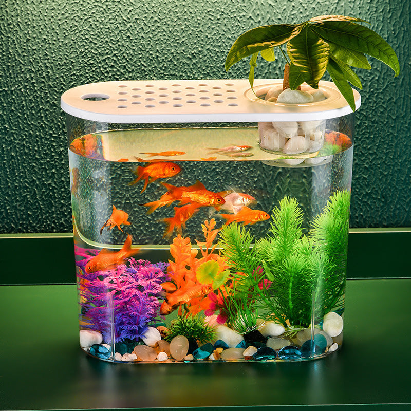 Acrylic Transparent Ecological Incubator Goldfish Tank