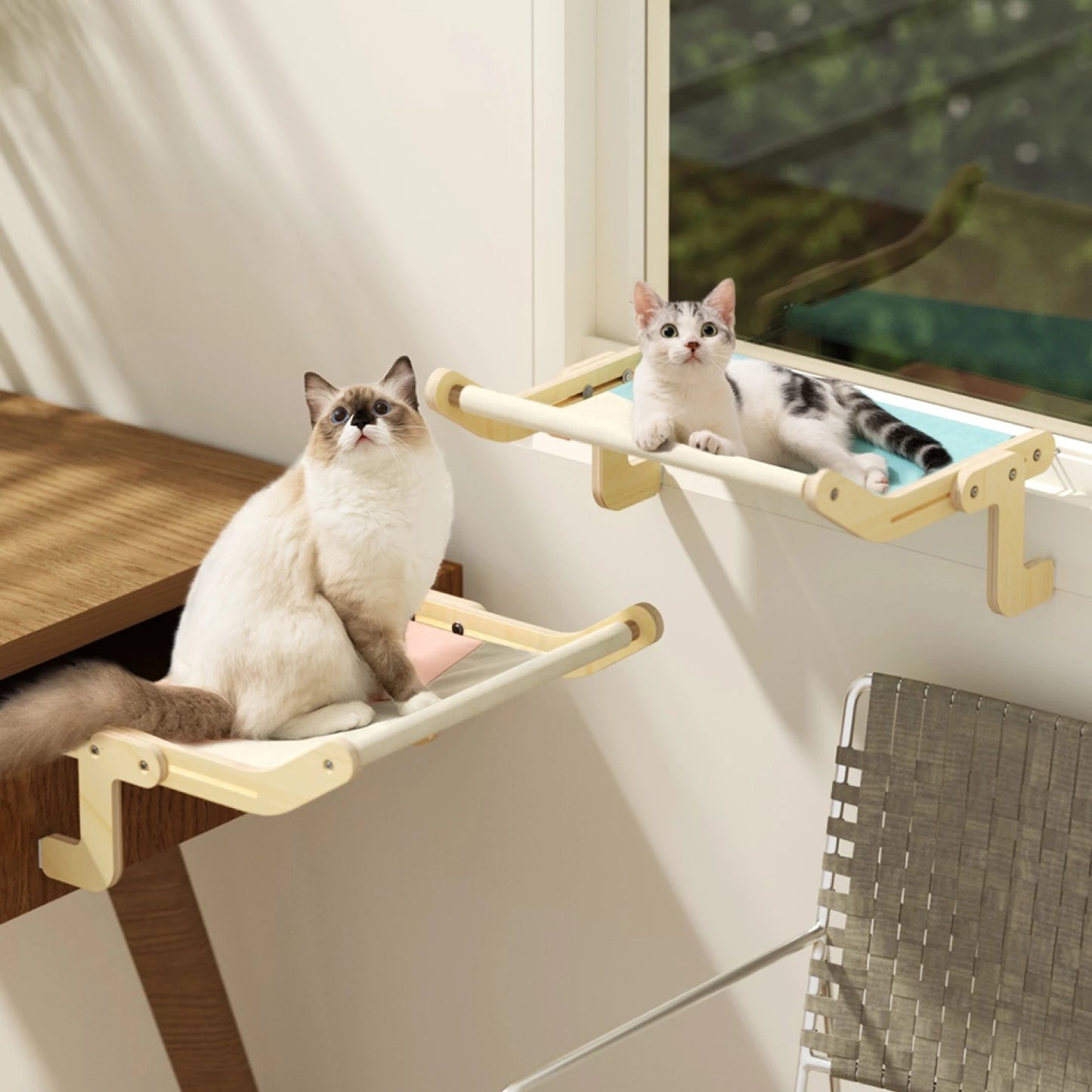 Mewoofun - Percha para ventana para gatos, 4 colores, madera, para colgar, lona de algodón, fácil de lavar, madera contrachapada multicapa, nuevo, envío directo