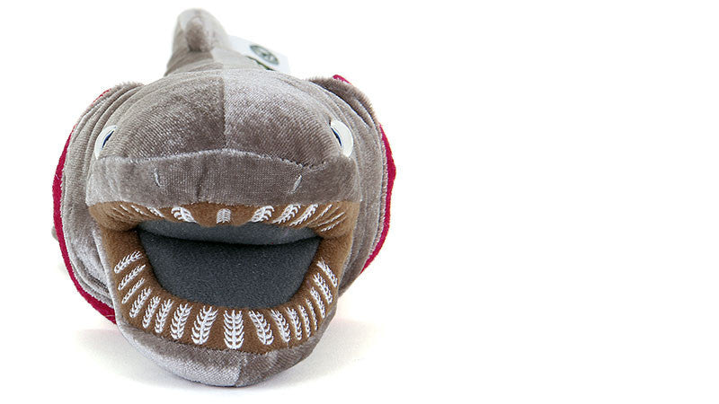 Jouet en peluche animal mignon de poupée de requin à volants