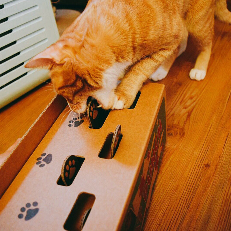 Jouet pour chat Hamster Machine en papier ondulé