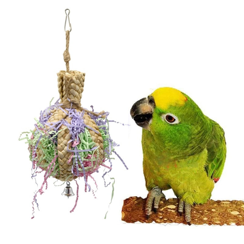 Drawing Straw Rope Toy Parrot Paper