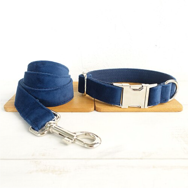 Bow pet collar large and small pet traction collar dog chain