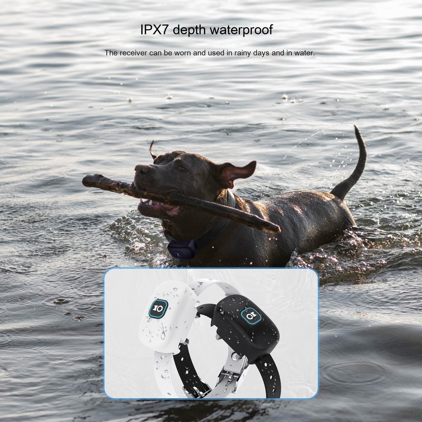 Wireless Dog Trainer Two-in-one Remote Control Stop Barking Waterproof Collar