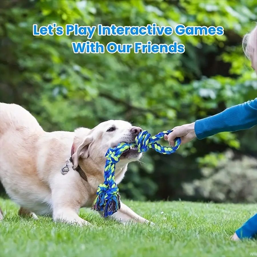 Jouets pour chiens en corde robuste pour grandes races Santé dentaire Mâcher et jeu de tir à la corde interactif Fournitures pour animaux de compagnie