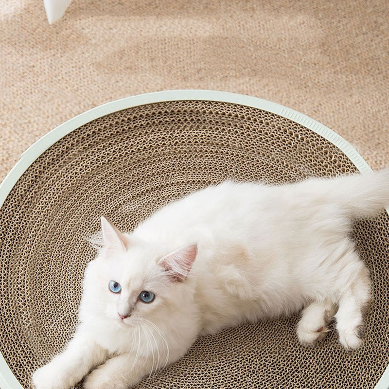 Jouet pour chat sans miettes en forme de bol ondulé 3 en 1 multifonctionnel griffoir pour chat