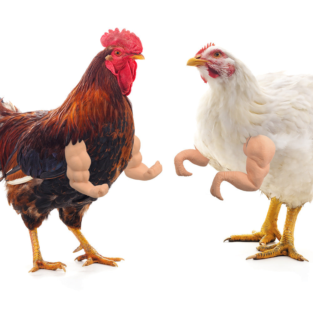 Los juguetes para pollos incluyen brazos musculosos fuertes, brazos con pulgares hacia arriba y brazos de pollo T-Rex para ponerles a los pollos