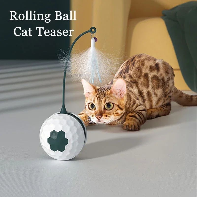 Jouet pour chat, bâton de stimulation pour chat, pour soulager l'ennui, résistance aux morsures, fournitures pour chat, mouvement automatique irrégulier avec connexion USB