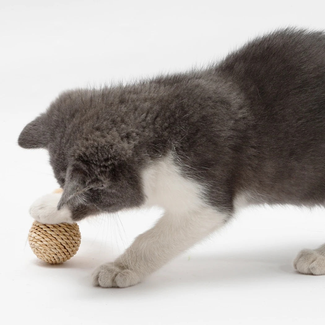 2 piezas de juguete para gatos, pelota de ratán para mascotas, juguete divertido para gatos con plumas de imitación, pelota con campana para gatos, juguetes interactivos para jugar, suministros para mascotas