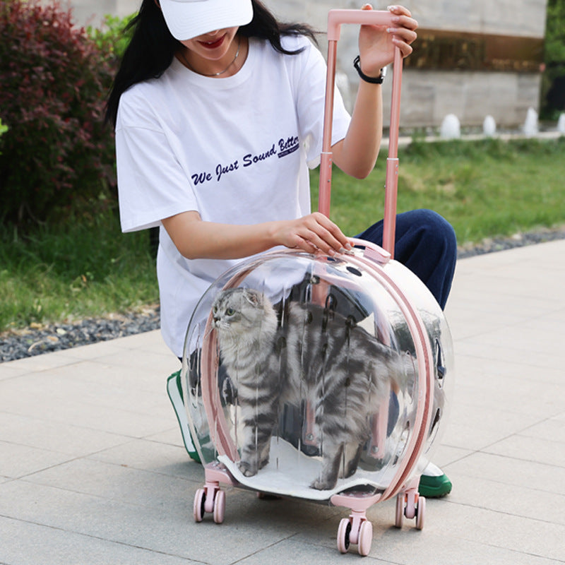 Bolsa transparente portátil para gatos con maleta con ruedas