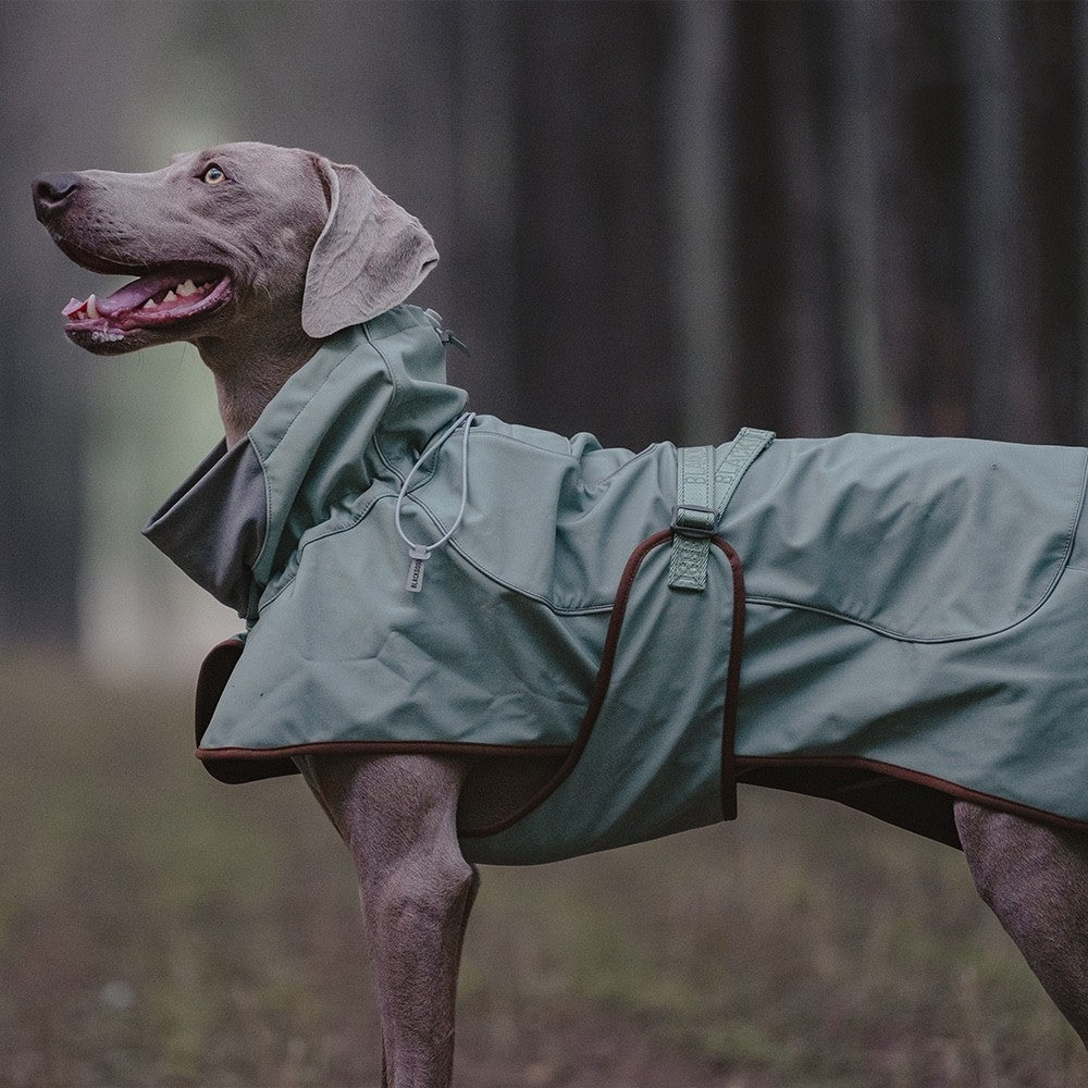 Chaqueta de exterior suave impermeable a prueba de viento y cálida para perros