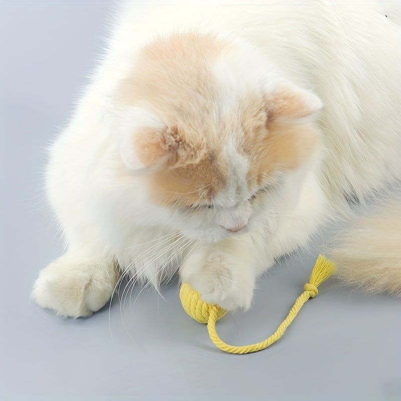 Balle jouet pour chat avec corde et cloche intégrée pour faire rouler la balle et émettre un son pour que les chatons puissent jouer avec 