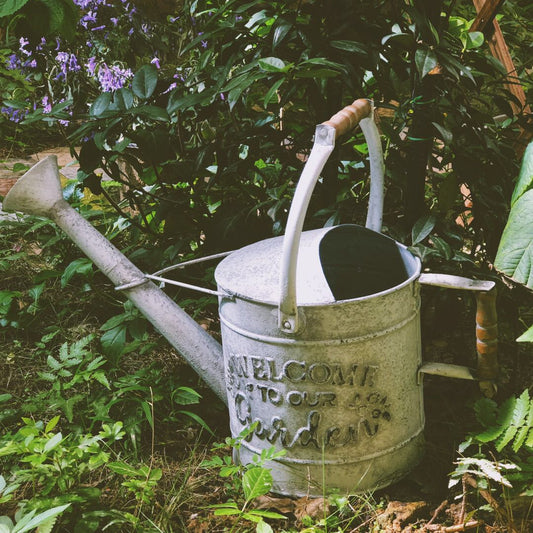 Regadera de hierro forjado, florero de jardín antiguo vintage