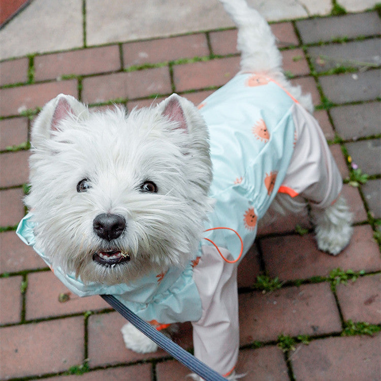 Manteau imperméable à quatre pattes pour animaux de compagnie, ensemble complet avec réfléchissant, imperméable et coupe-vent