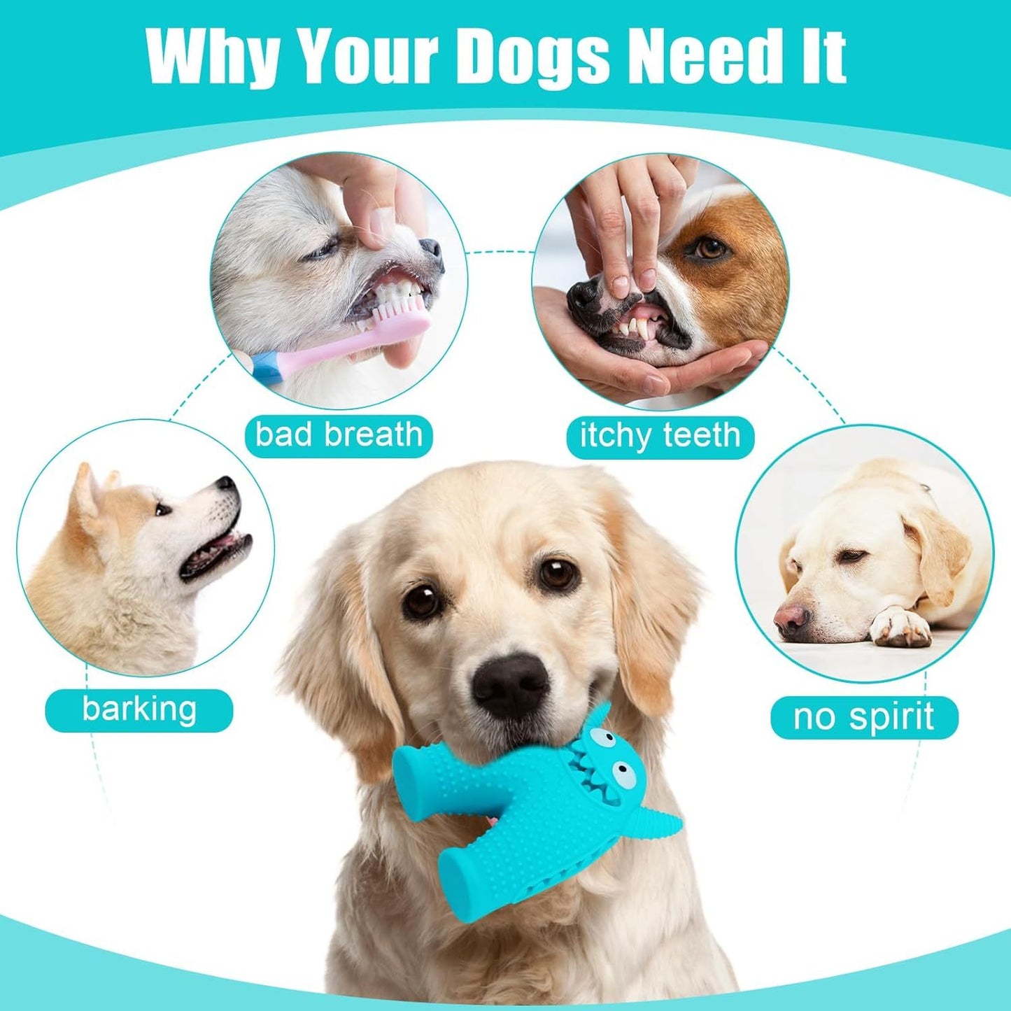 Jouets couineurs pour chiens pour mâcheurs agressifs, jouet à mâcher interactif durable pour petits chiens, jouets de nettoyage des dents en caoutchouc naturel pour chiots