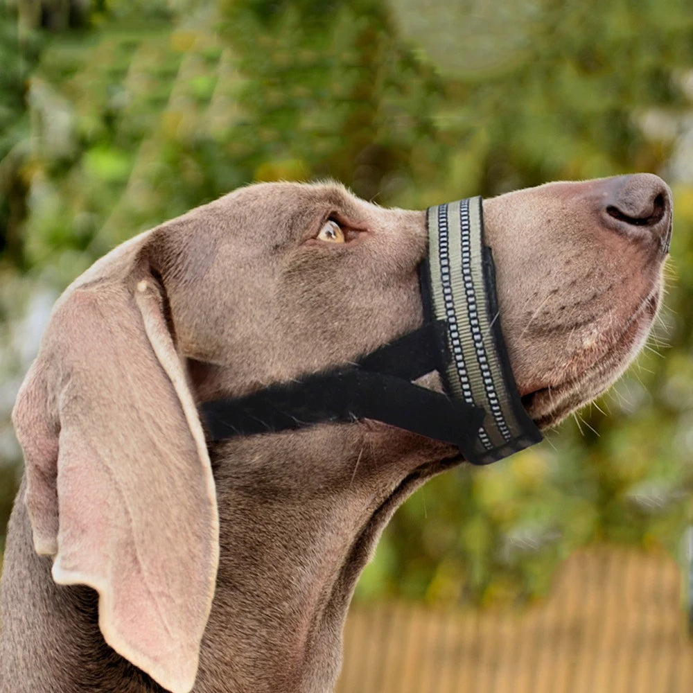 Bozales reflectantes antimordeduras para perros grandes, medianos y grandes, para husky siberiano, golden retriever, cubierta bucal ajustable para mascotas 