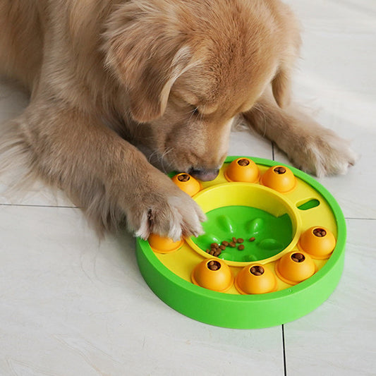 Jouets Puzzle pour animaux de compagnie, gamelle pour ingestion lente, interactif, augmentation du qi du chiot, distributeur de nourriture, manger lentement, bol antidérapant, jeu d'entraînement pour chiens de compagnie