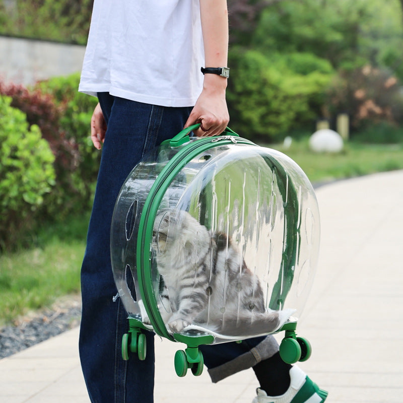 Bolsa transparente portátil para gatos con maleta con ruedas