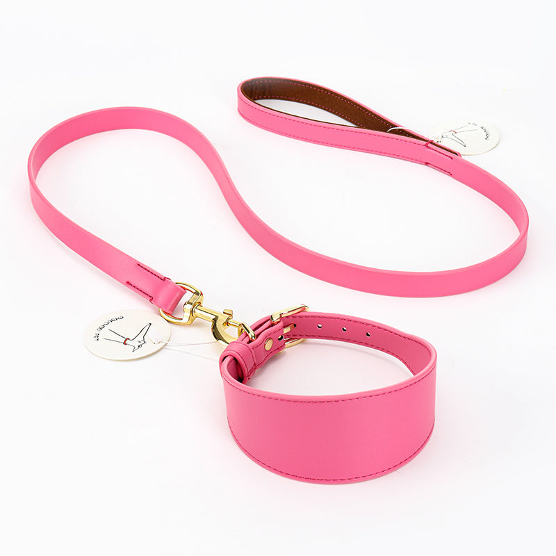 Conjunto de collar de cuerda de sujeción de mano suave Suministros para mascotas