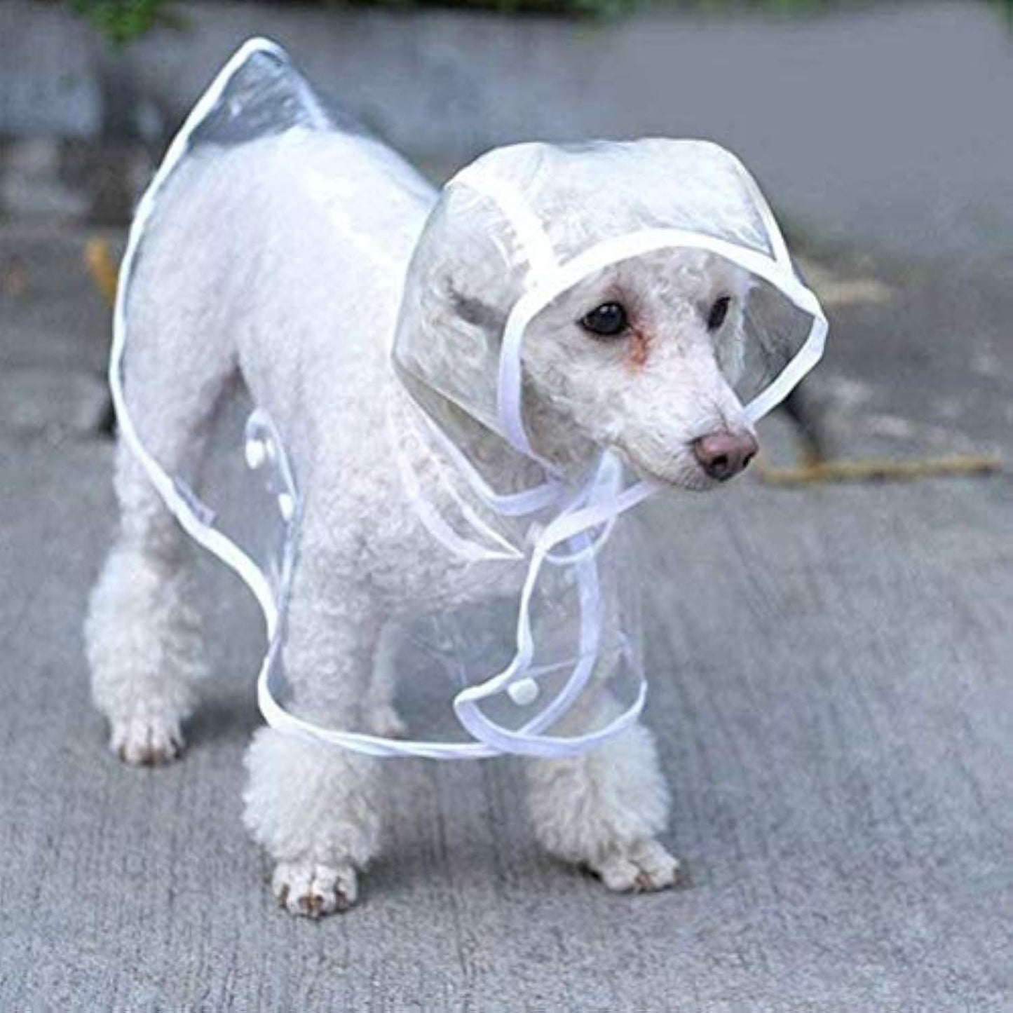 Manteau imperméable transparent pour chiens de petite et moyenne taille, vêtements imperméables pour animaux de compagnie avec veste de pluie à capuche et matériaux légers et respirants, parfaits pour les journées de marche en plein air