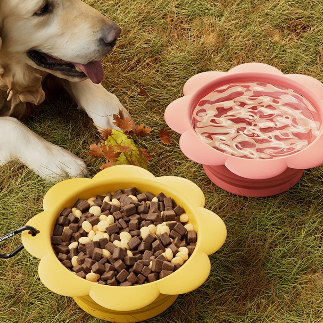 Bol pliant en Silicone pour fleurs d'animaux domestiques, bol à boire Portable d'extérieur