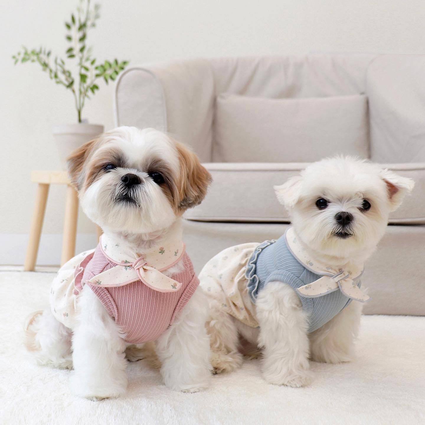 Chaleco con falda de burbujas floral y bufanda pequeña cálida y linda