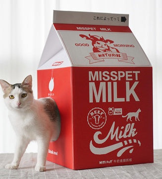 Carton de lait Griffoir pour chat Jouet pour chat Papier ondulé