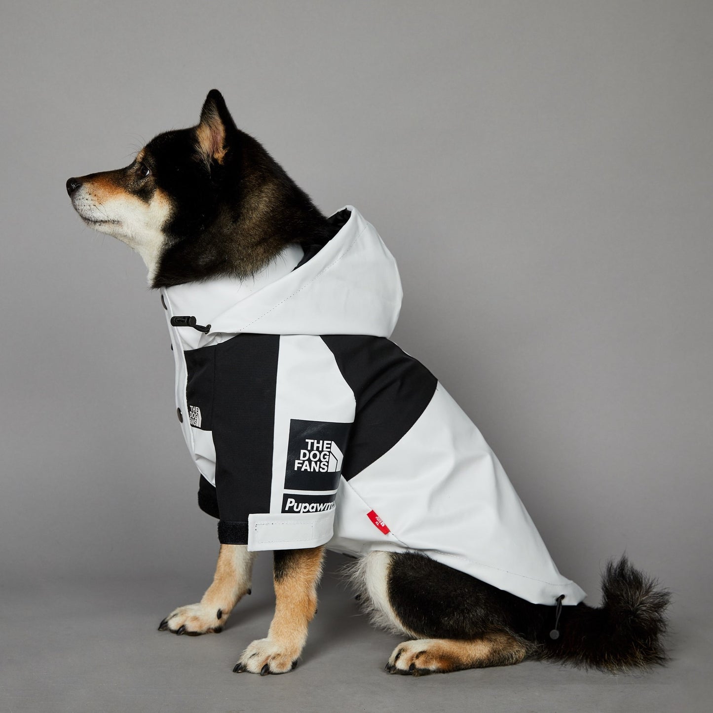 Veste imperméable coupe-vent et imperméable pour grands chiens