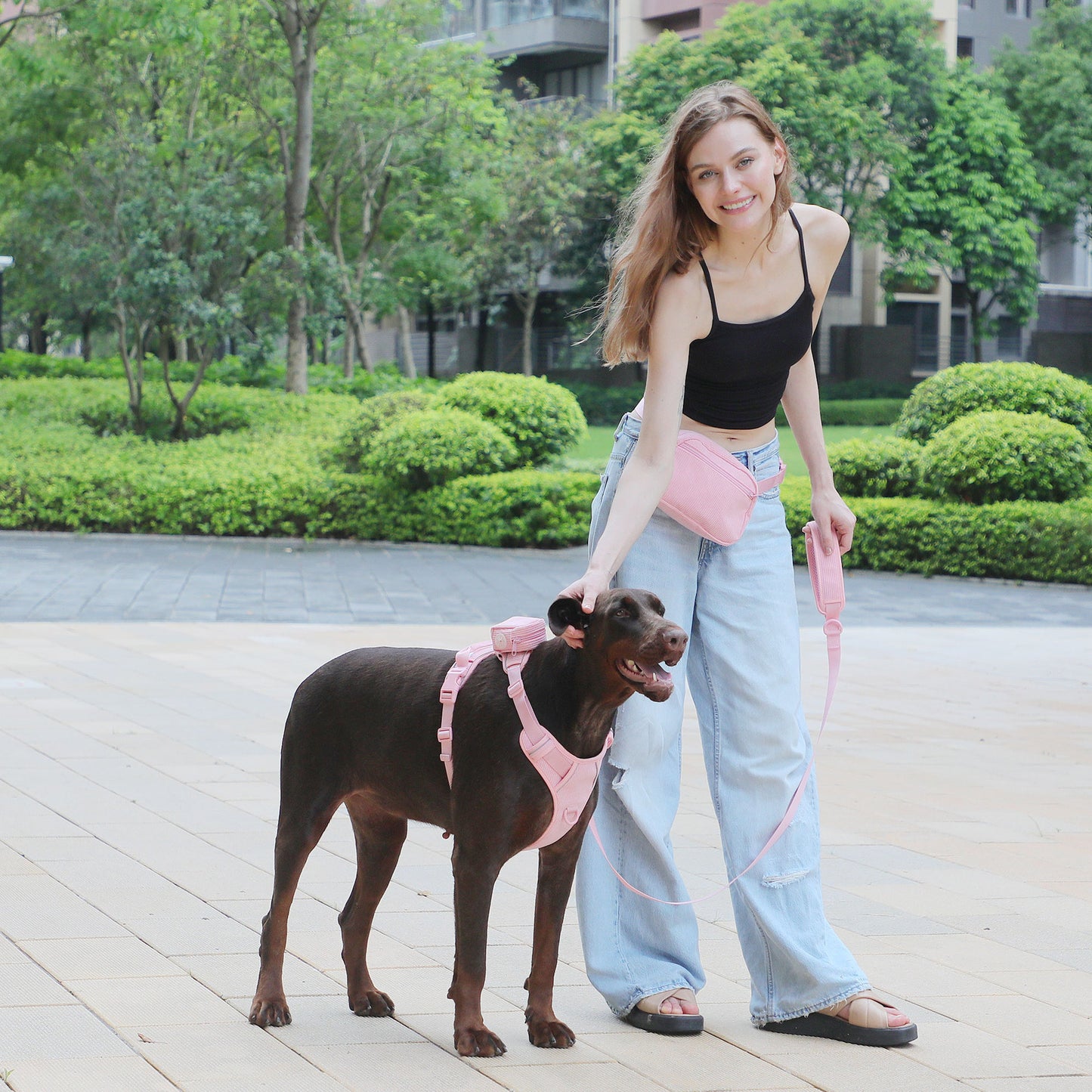 Diseño de pana rosa para el pecho de la mascota, puede tallar el bolso para pasear al perro con cuerda y Collar para escribir