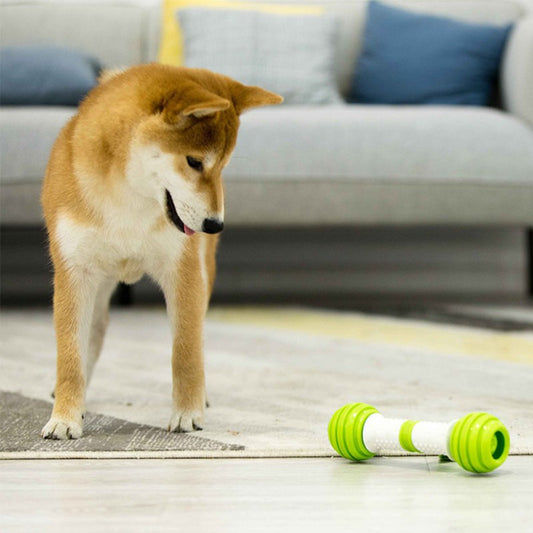 Hueso de juguete automático eléctrico para perros Happy Bone