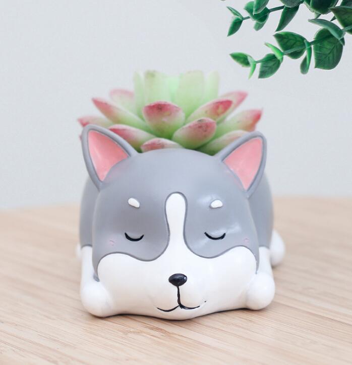 Pot de jardinière pour animaux