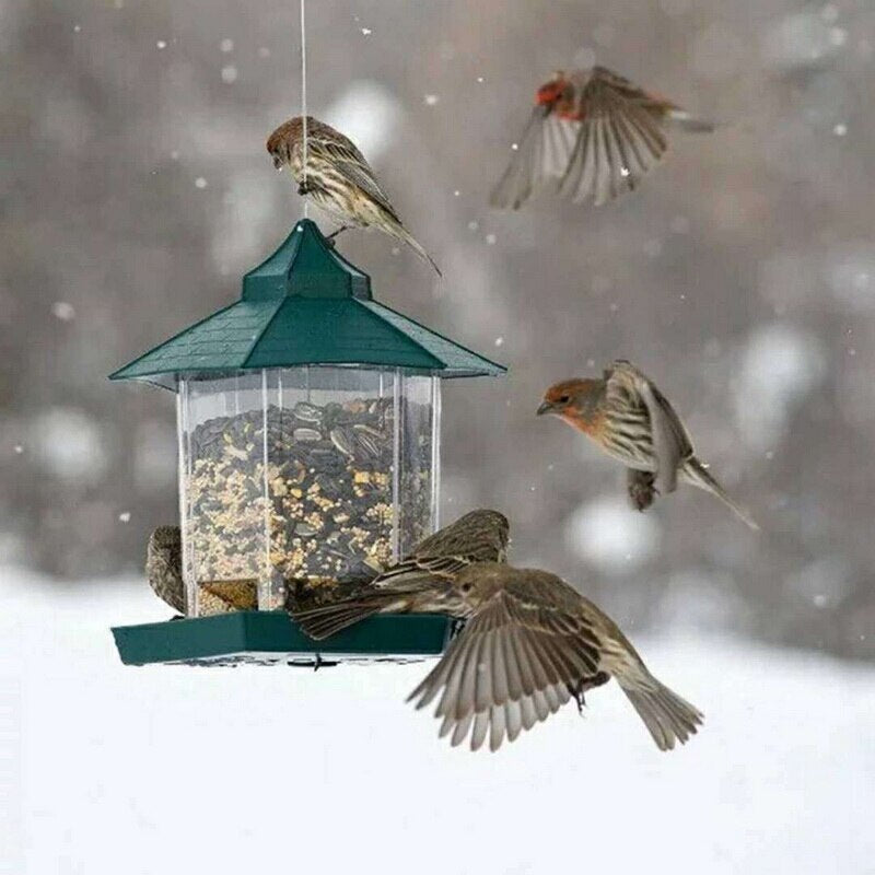 Boîte de nourriture pour oiseaux suspendue et étanche