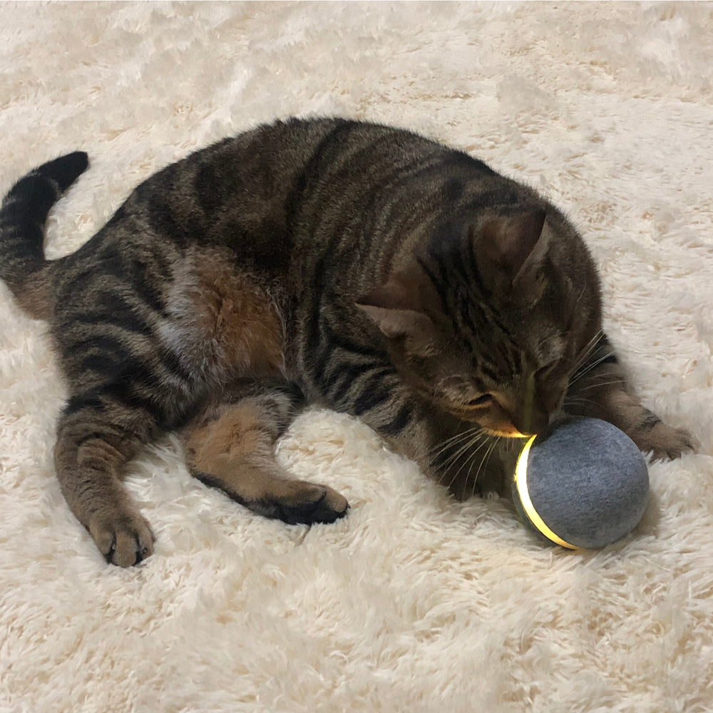 Pelota que rebota de juguete para gatos 