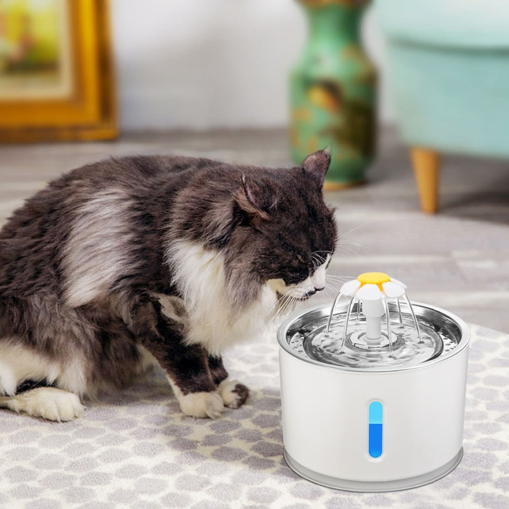 Fontaine à eau automatique pour chat avec lumière LED