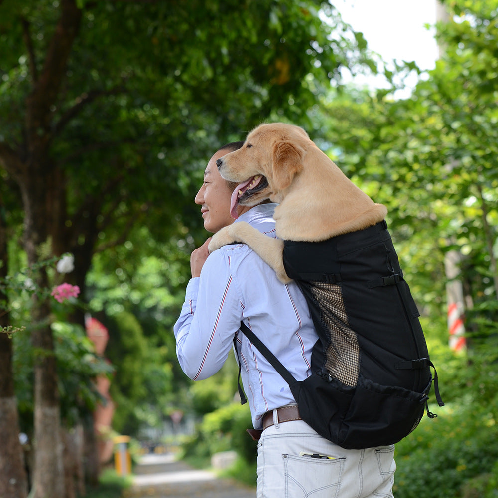 Mochila para mascotas ventilada y transpirable