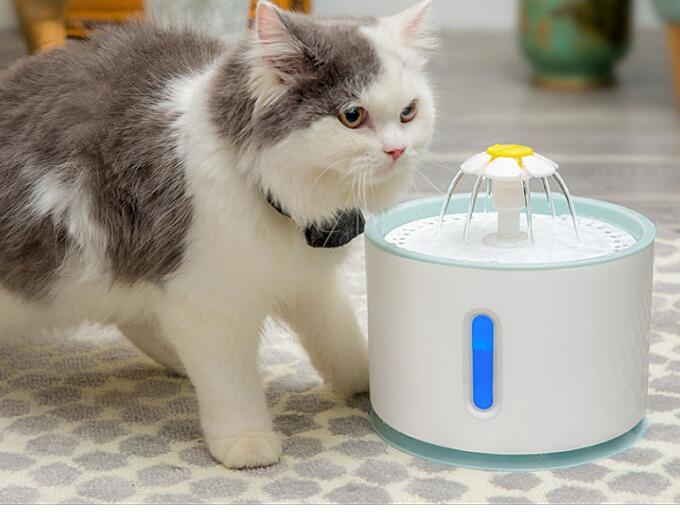 Fontaine à eau automatique pour animaux de compagnie, bol pour animaux de compagnie, filtre pour bol à boisson