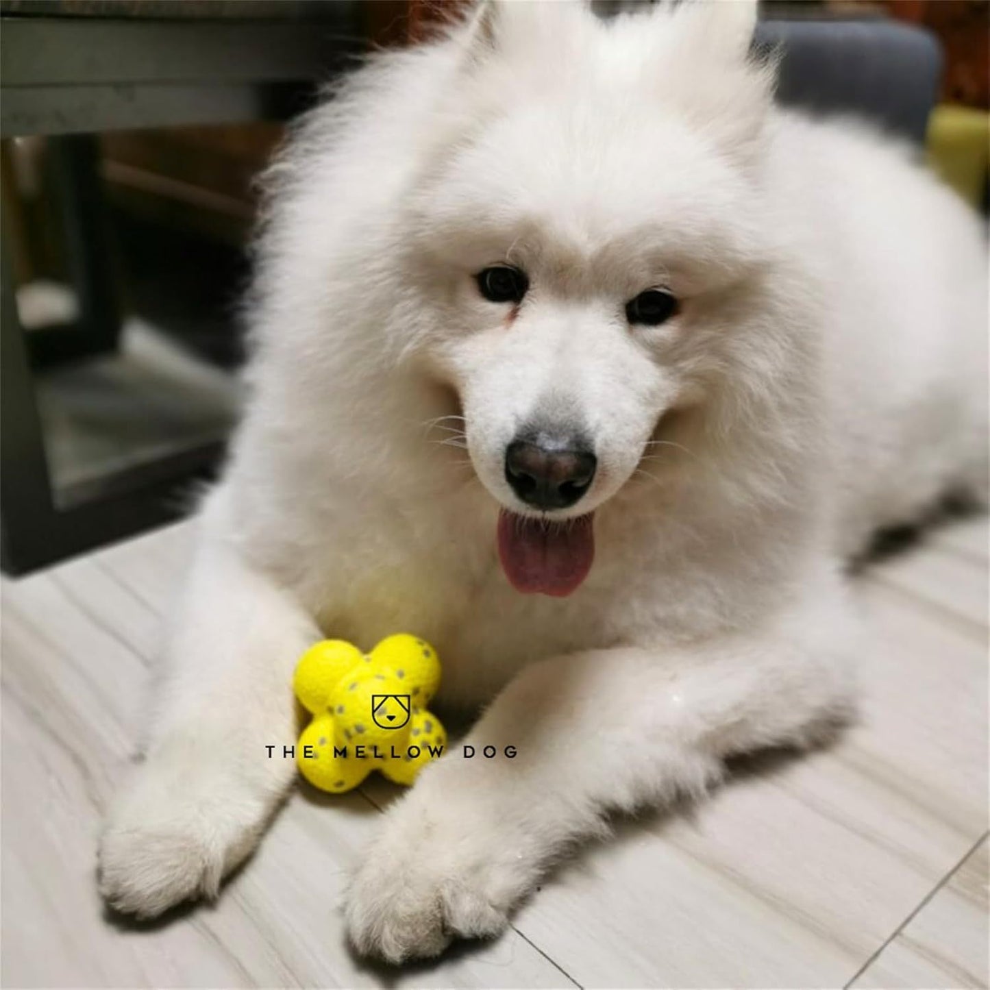 Pelota calmante para perros Mellow, pelota de tenis para perros Mellow, pelota de apoyo emocional para perros Mellow