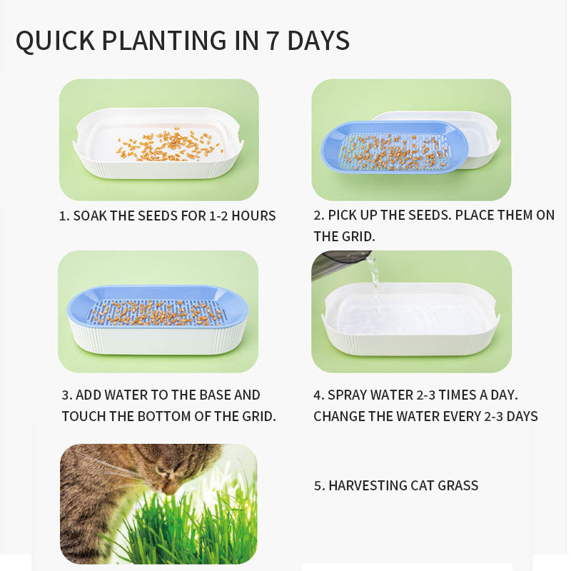 Hydroponic Cat Grass Box Plastic Tray Cat Grass Growing Kit Cat Grass Planter Hydroponic Cat Grass Box Cat Grass Sprouter Tray Interactive Cat Toy Window Planter Soilless For Pet Cat Plastic Plant Pot