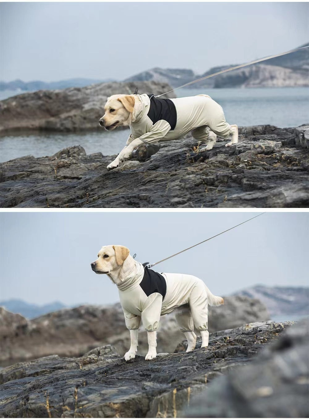 Chaqueta Shell Ropa para perros todo incluido de cuatro patas impermeable a prueba de viento