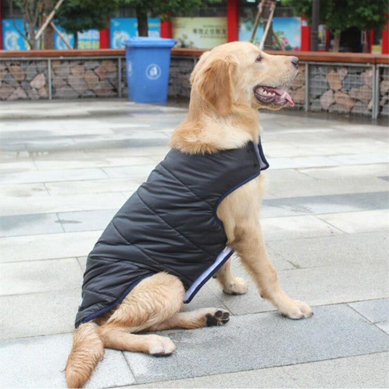 Manteau d'hiver en coton pour animaux de compagnie, vêtements pour chiens