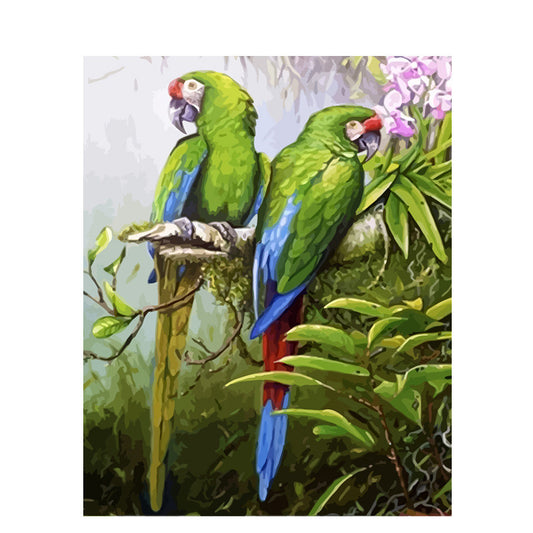 Box parrot animal painting