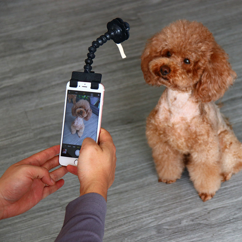 Palo de selfie para mascotas Suministros para mascotas Juguetes Artefacto de selfie para mascotas