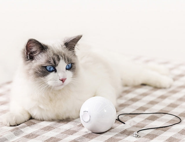 Balle de jouet interactive automatique intelligente pour chat