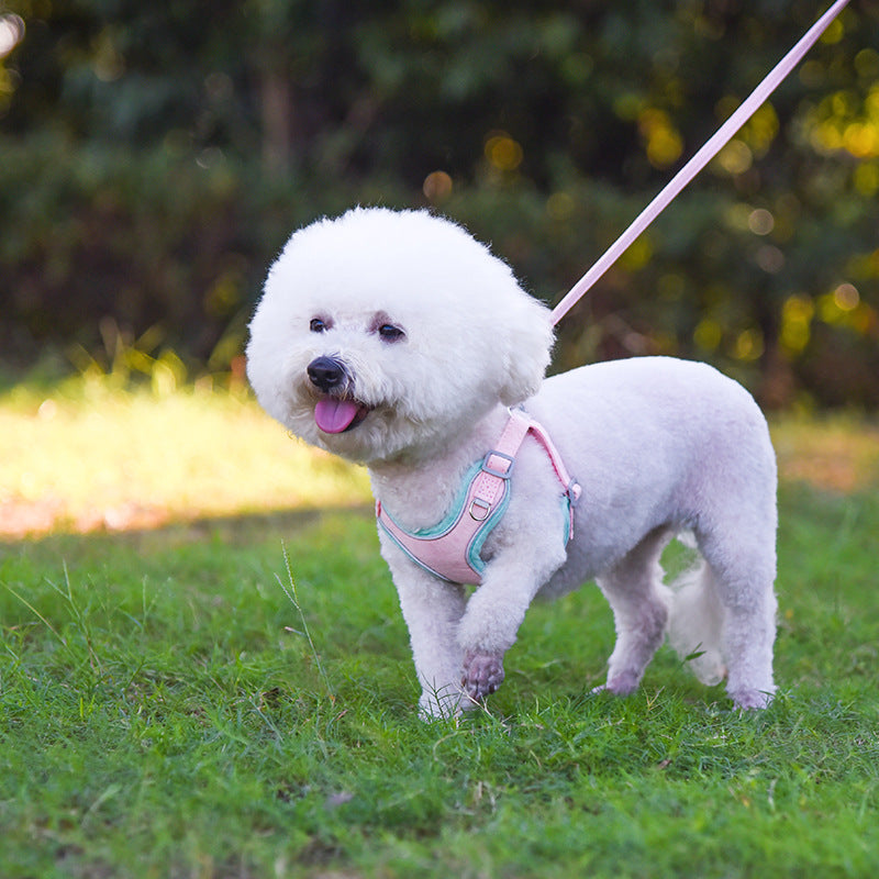 Arnés ajustable para perros y cómoda correa para mascotas