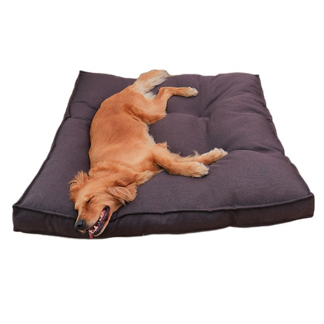 Coussin pour chien