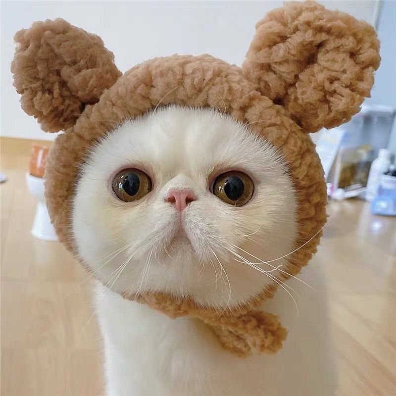 Pet Hat Bear Plush Hood Photo Headwear Dress Up Accessories