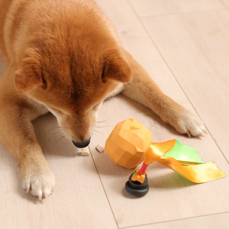 Balle jouet pour nettoyer les dents de chien