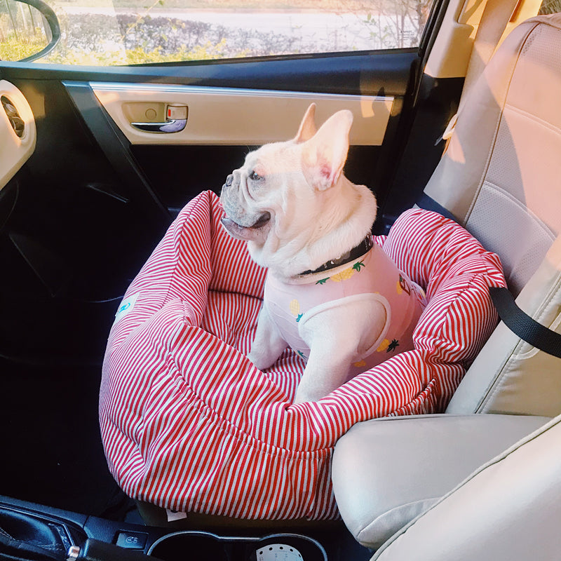 Siège auto de voyage petit chien Schnauzer coussin chien