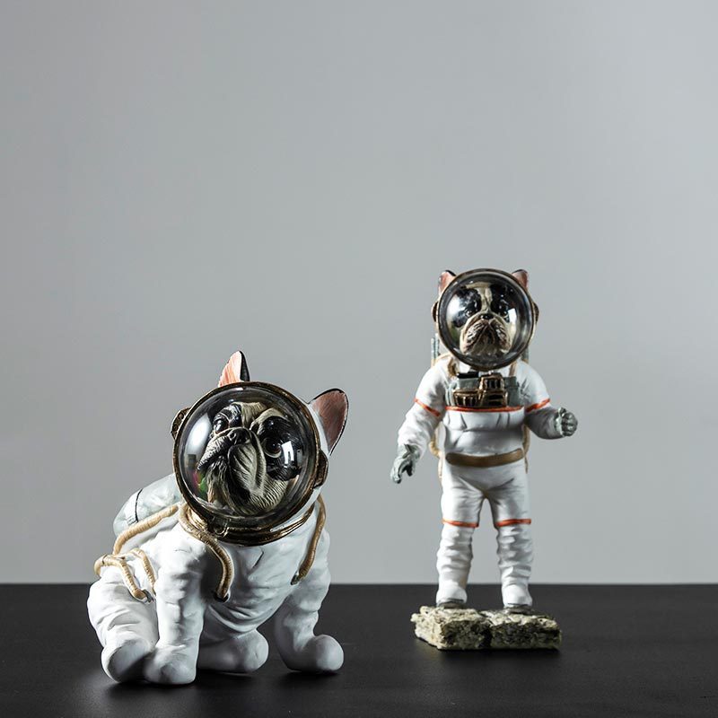 Space simulation cute animal decoration